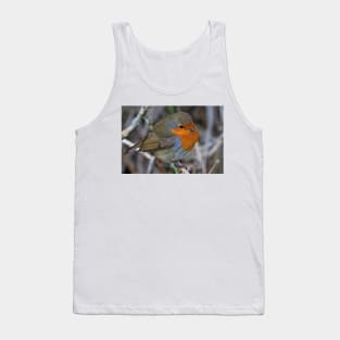 Fluffed up Robin Tank Top